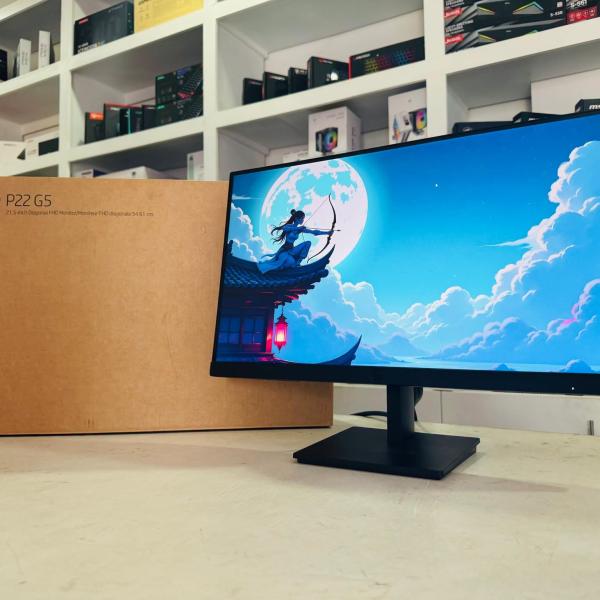 HP P22 Monitor