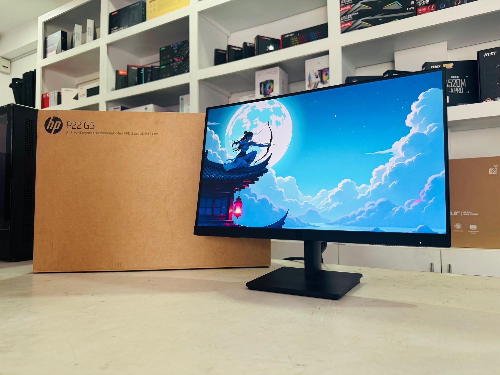 HP P22 Monitor