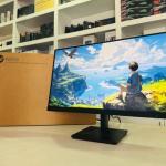 HP P22 Monitor